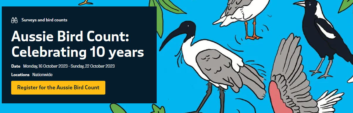 Aussie Bird Count is coming!