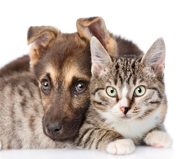 Latest News » Shire of Nungarin